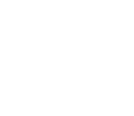 white ace junk removal logo